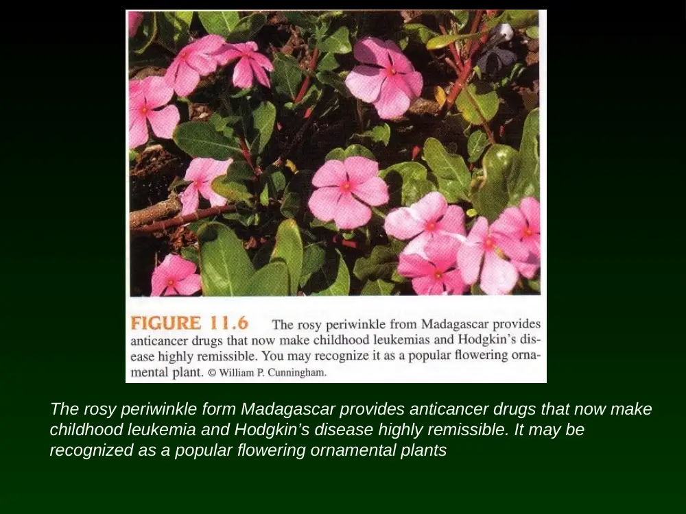 ENS 201 Chapter 11, Spring 2008, page 8