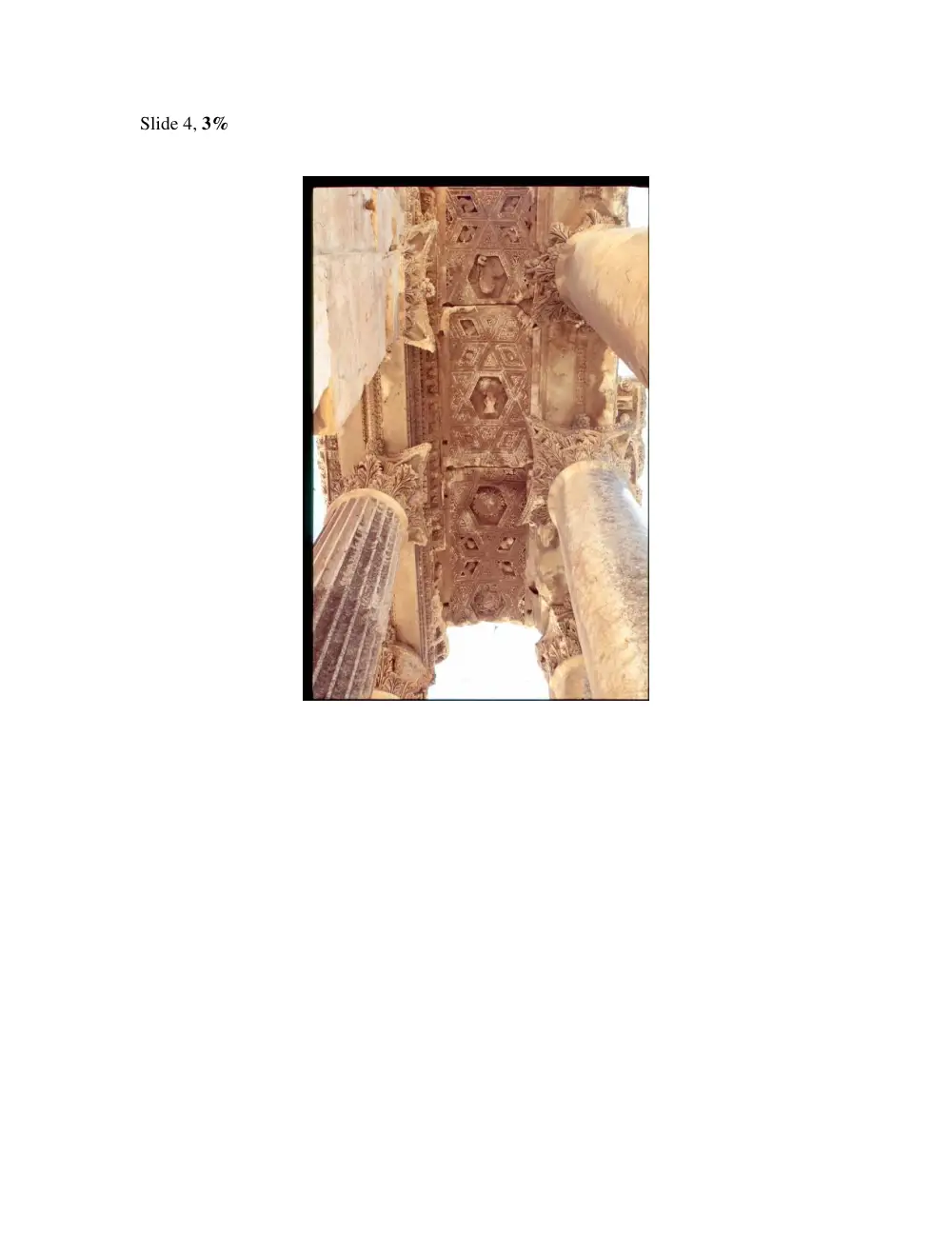 AROL 201 Final, Fall 2007, page 5