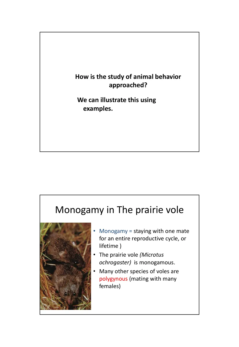 BIO 240 Chapter 1, Spring 2014, page 2