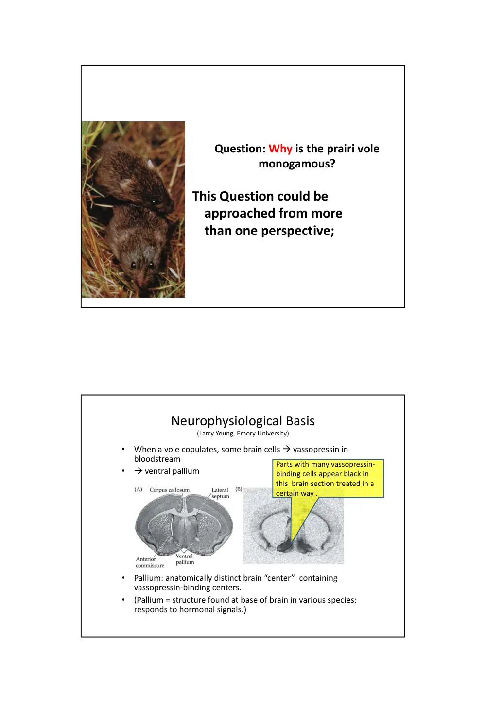 BIO 240 Chapter 1, Spring 2014, page 3