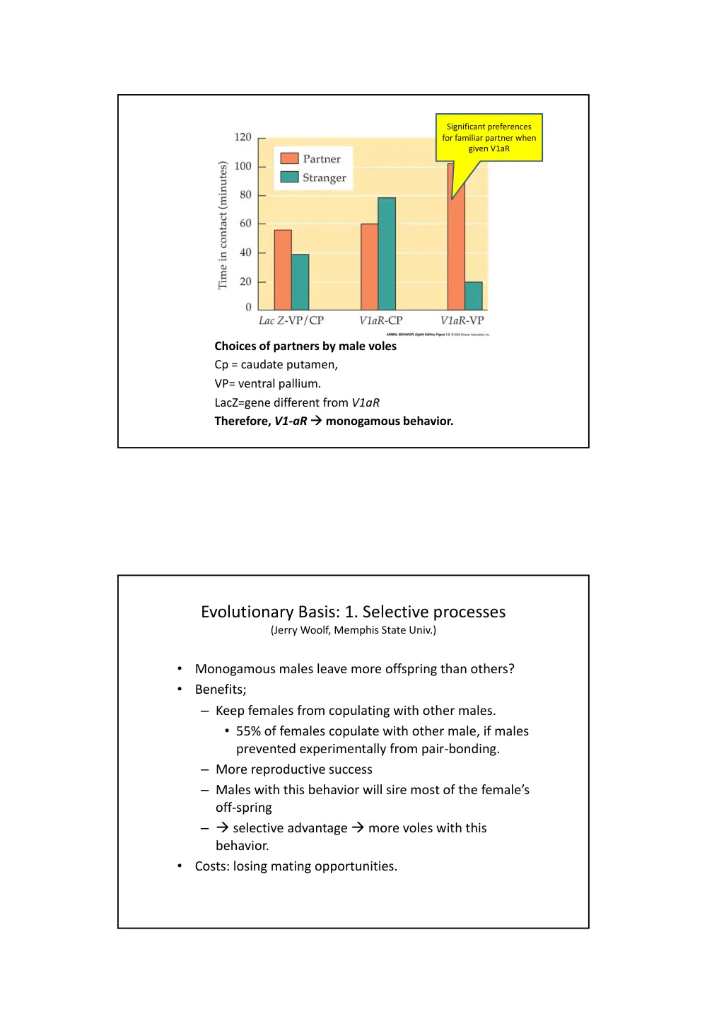 BIO 240 Chapter 1, Spring 2014, page 5