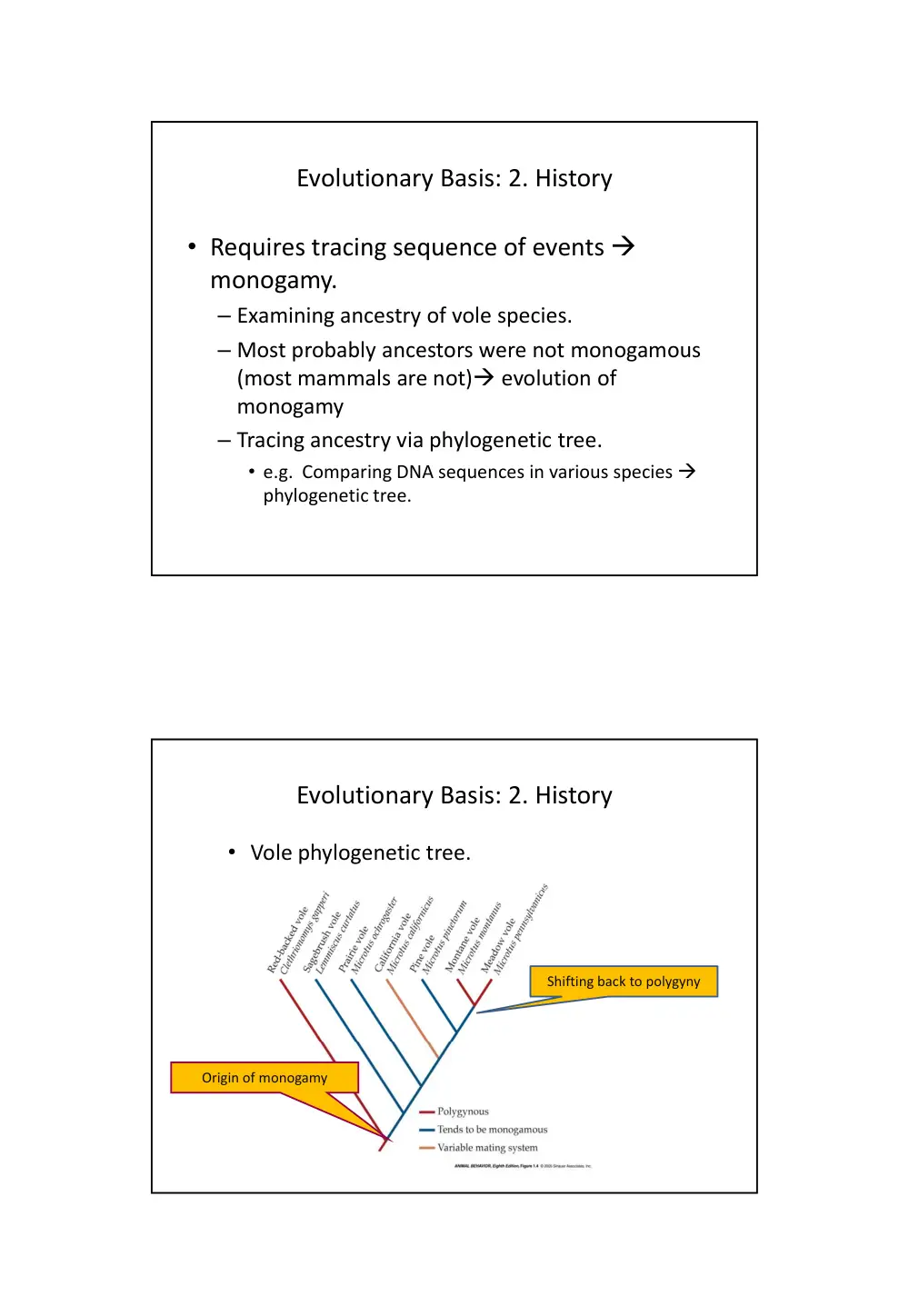 BIO 240 Chapter 1, Spring 2014, page 6