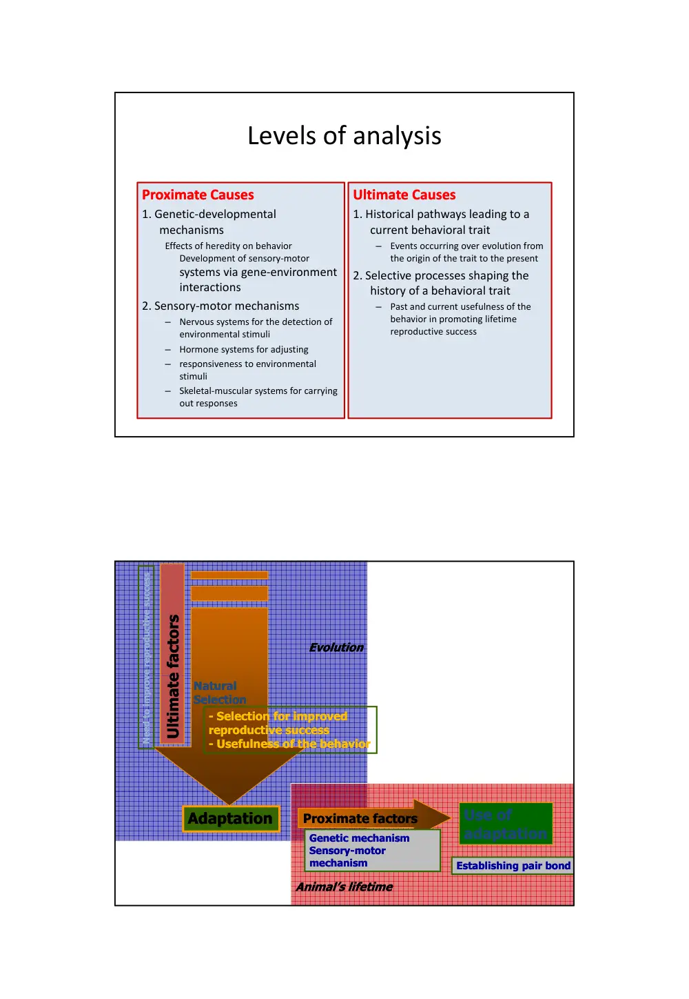 BIO 240 Chapter 1, Spring 2014, page 8