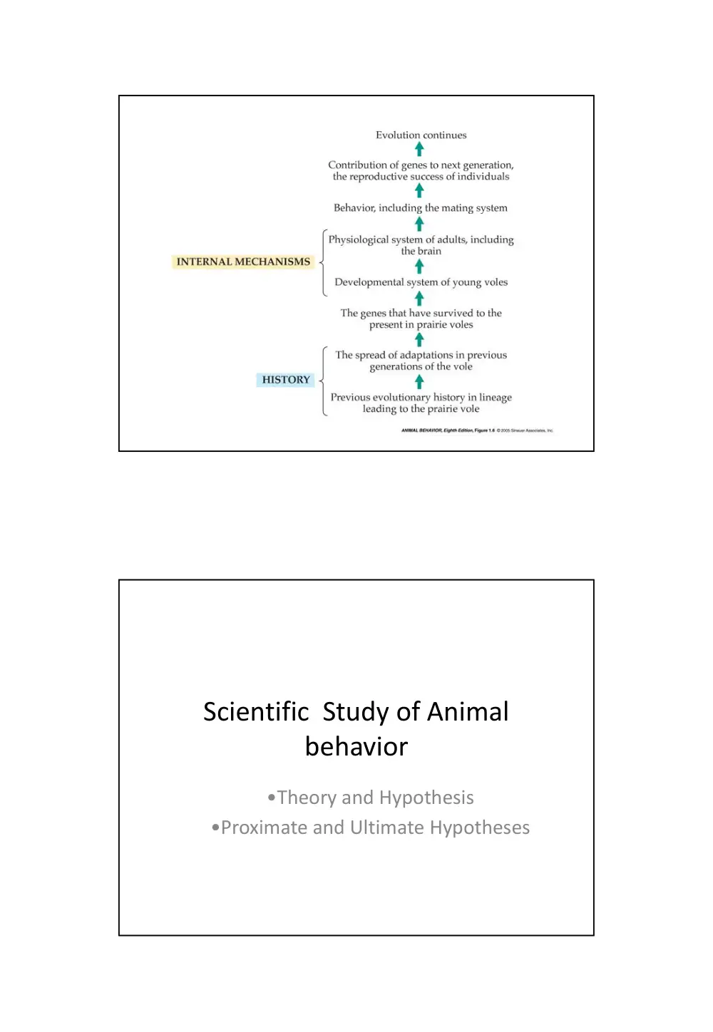 BIO 240 Chapter 1, Spring 2014, page 9