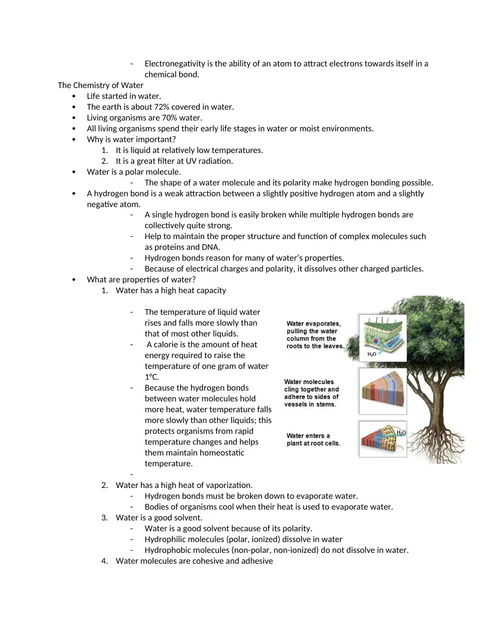 BIO 101 Notes, Spring 2020, page 3