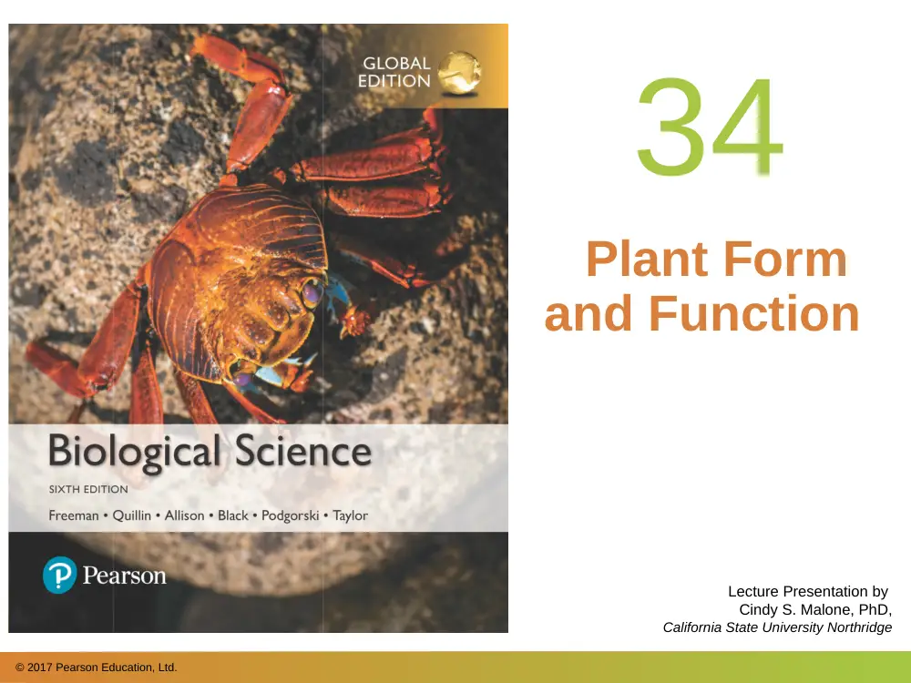 BIO 202 Chapter 34, Spring 2018, page 1