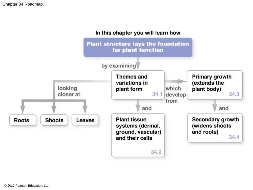 BIO 202 Chapter 34, Spring 2018, page 2