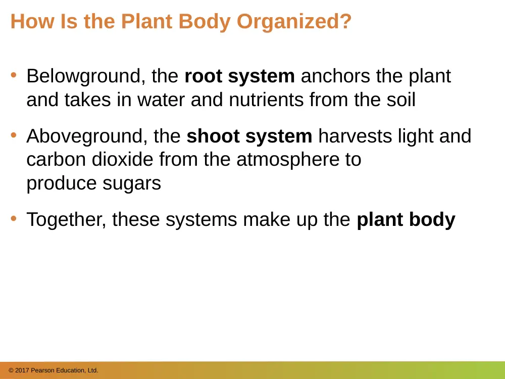 BIO 202 Chapter 34, Spring 2018, page 6