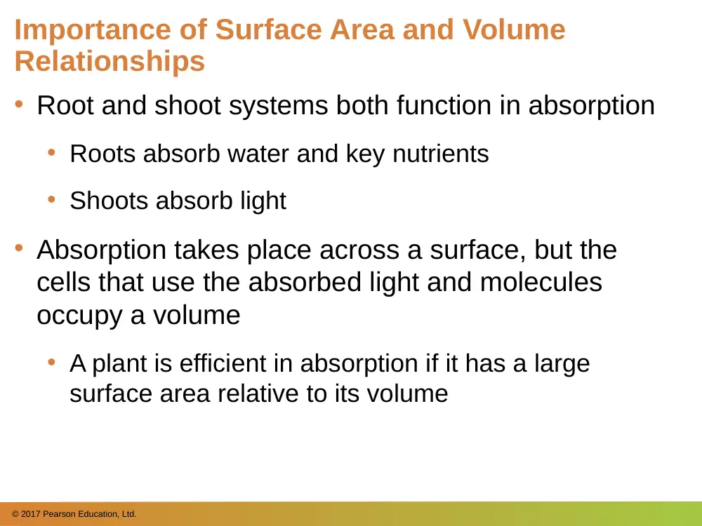 BIO 202 Chapter 34, Spring 2018, page 8