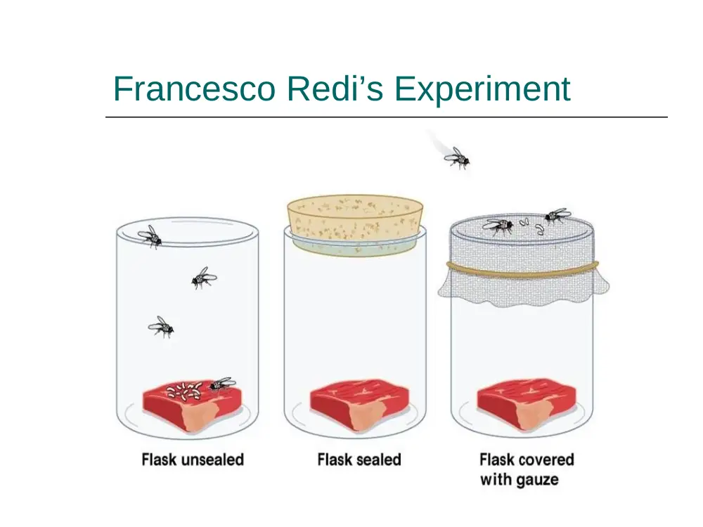 BIO 200 Project Presentation, Spring 2014, page 6