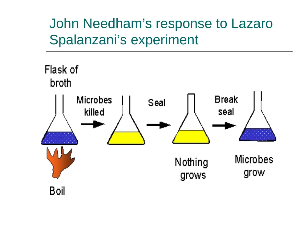 BIO 200 Project Presentation, Spring 2014, page 8