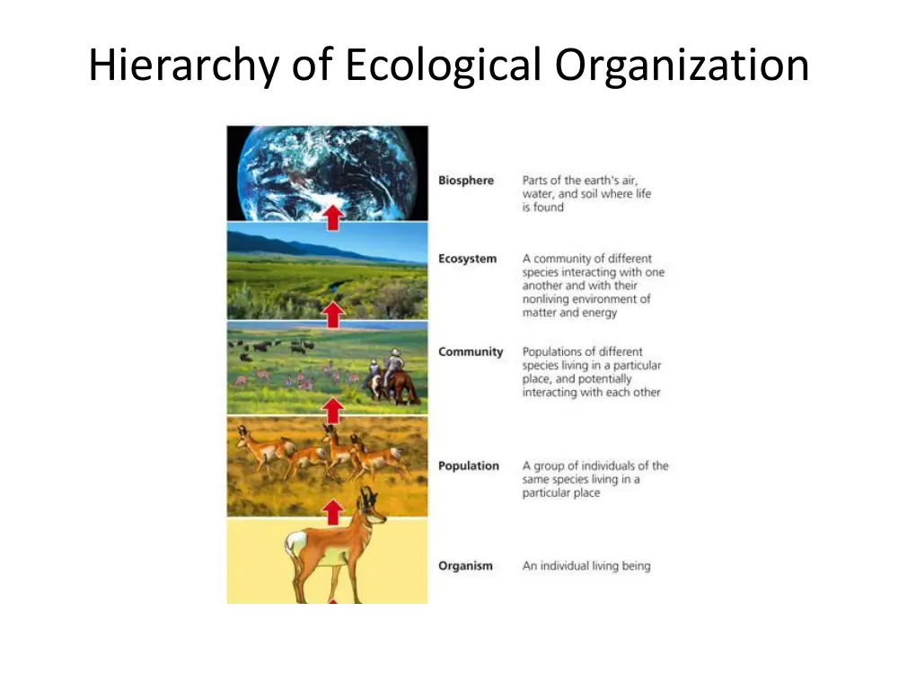 ENV 200 Chapter 1, Fall 2013, page 9