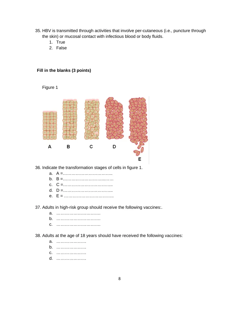 BIO 420 Final, Spring 2011, page 8