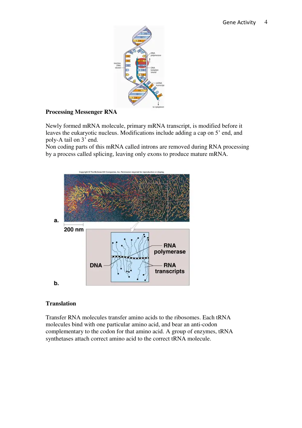BIO 101 Lecture 101, Fall 2017, page 4