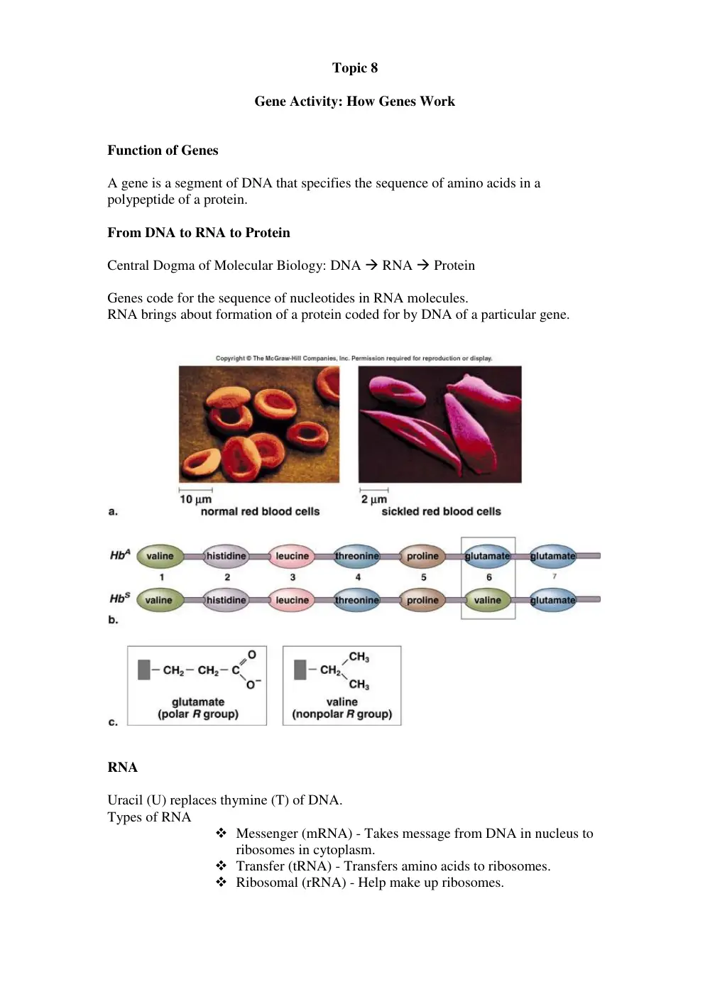 BIO 101 Lecture 101, Fall 2017, page 1