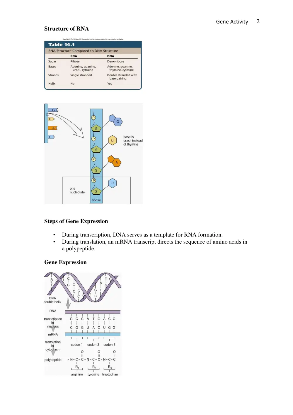 BIO 101 Lecture 101, Fall 2017, page 2