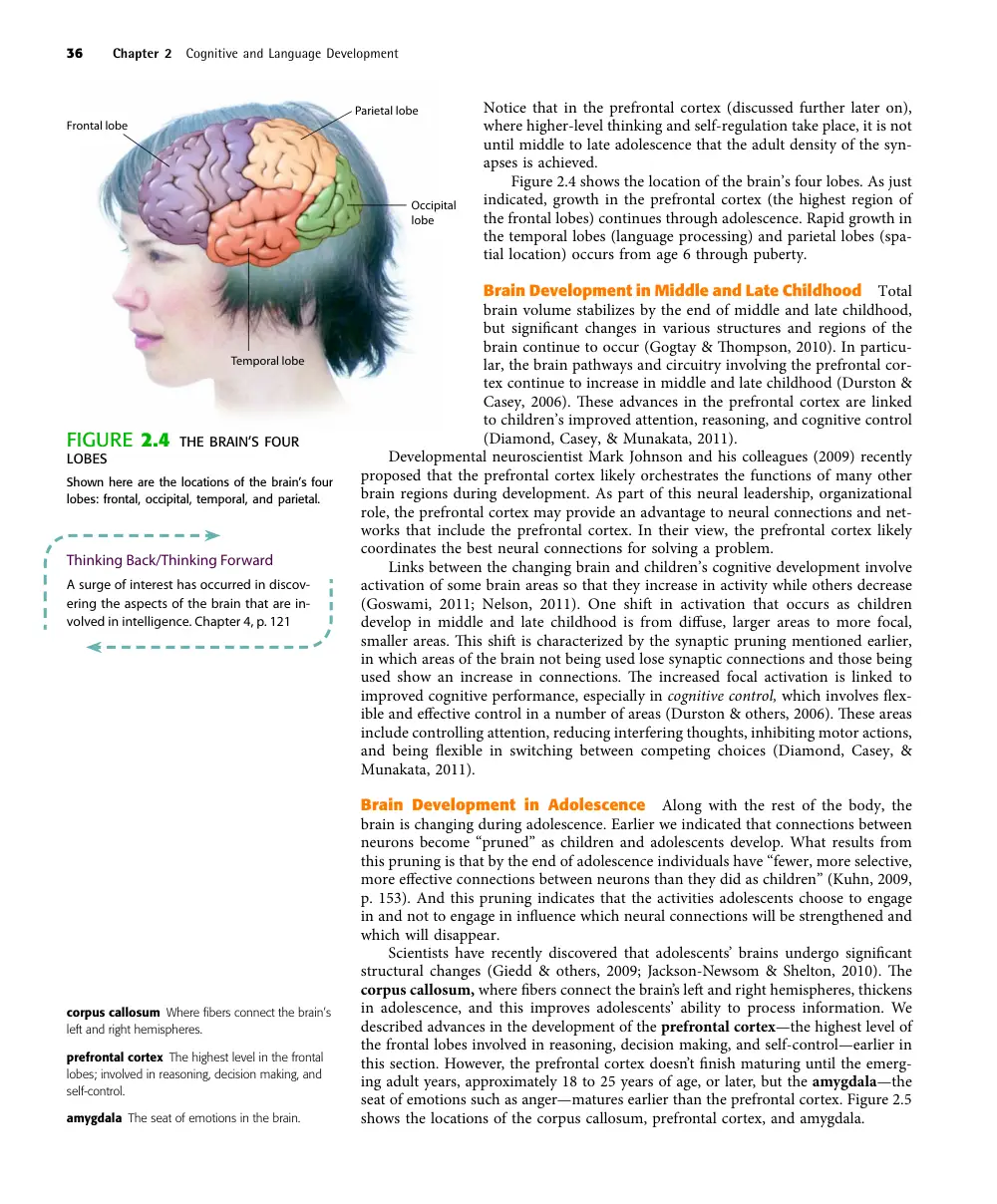 EDUC 215 Chapter 2, Fall 2012, page 9