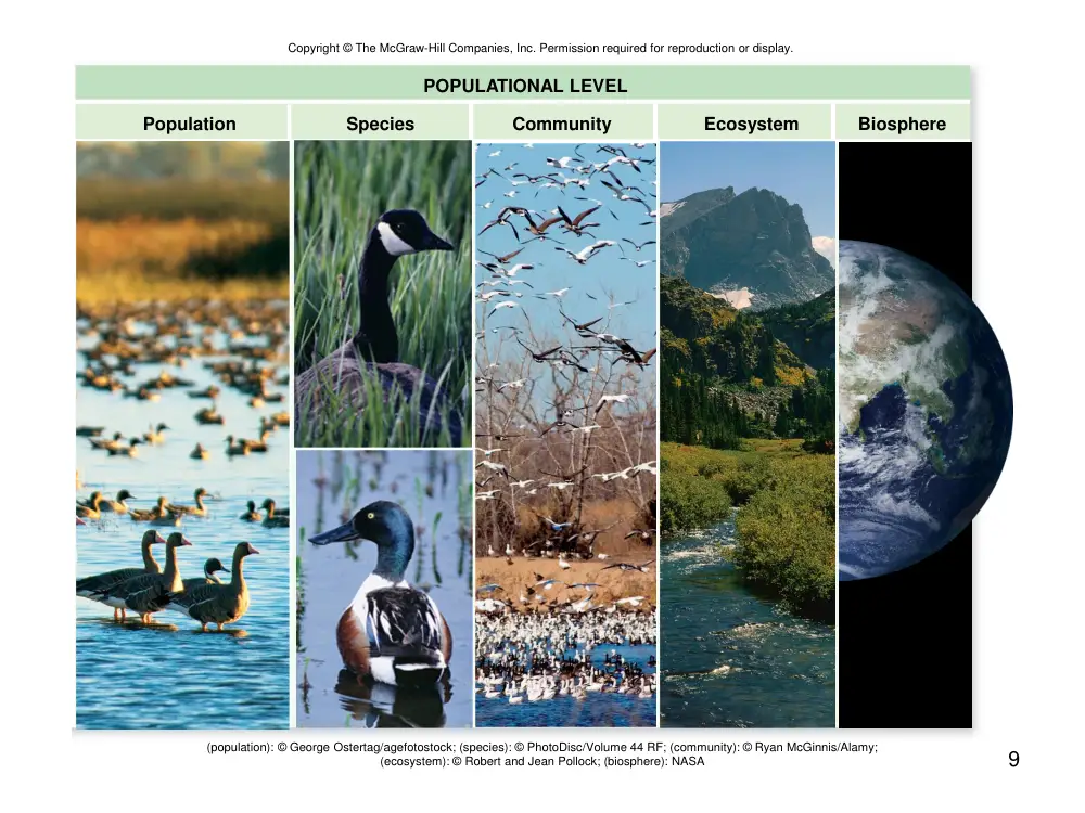 BIO 211 Chapter 1, Fall 2018, page 9