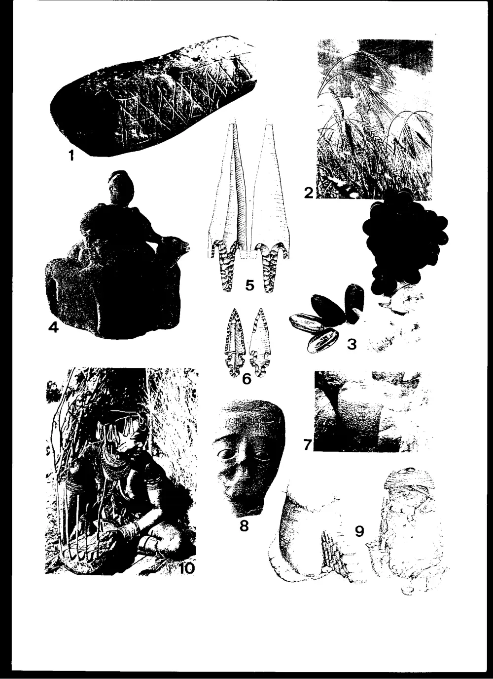 AROL 214 Final, Spring 2002, page 2