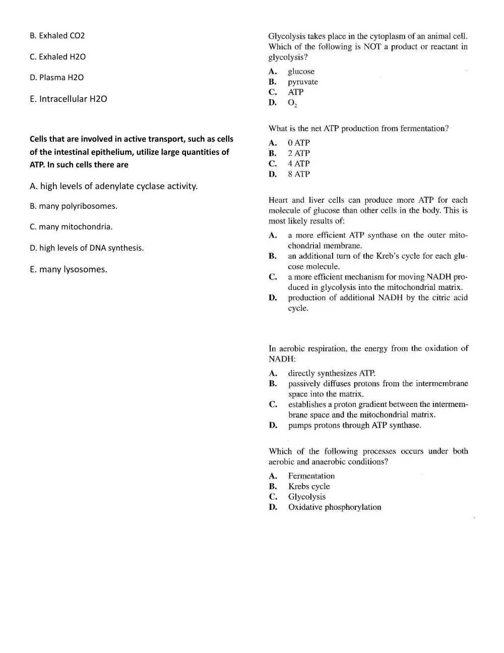 BIO 201 Exam 2 Sample, Spring 2011, page 2