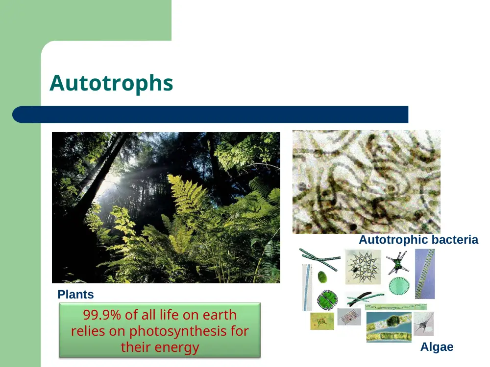 BIO 200 Chapter 7, Fall 2015, page 3