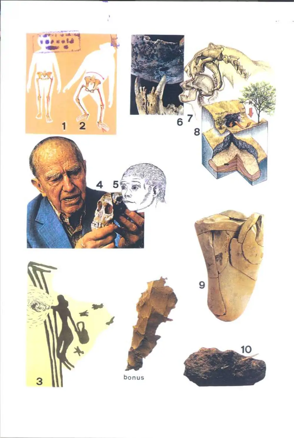 AROL 213 Final, Fall 2003, page 2