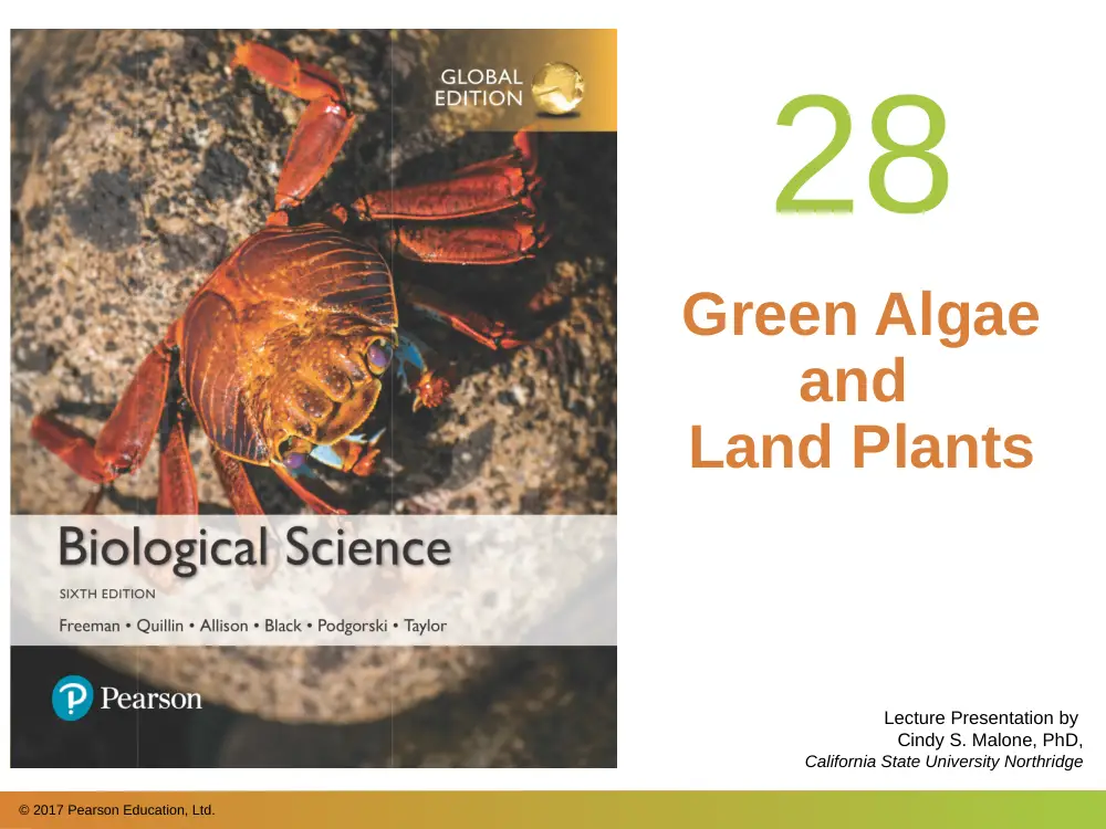 BIO 202 Chapter 28, Spring 2018, page 1