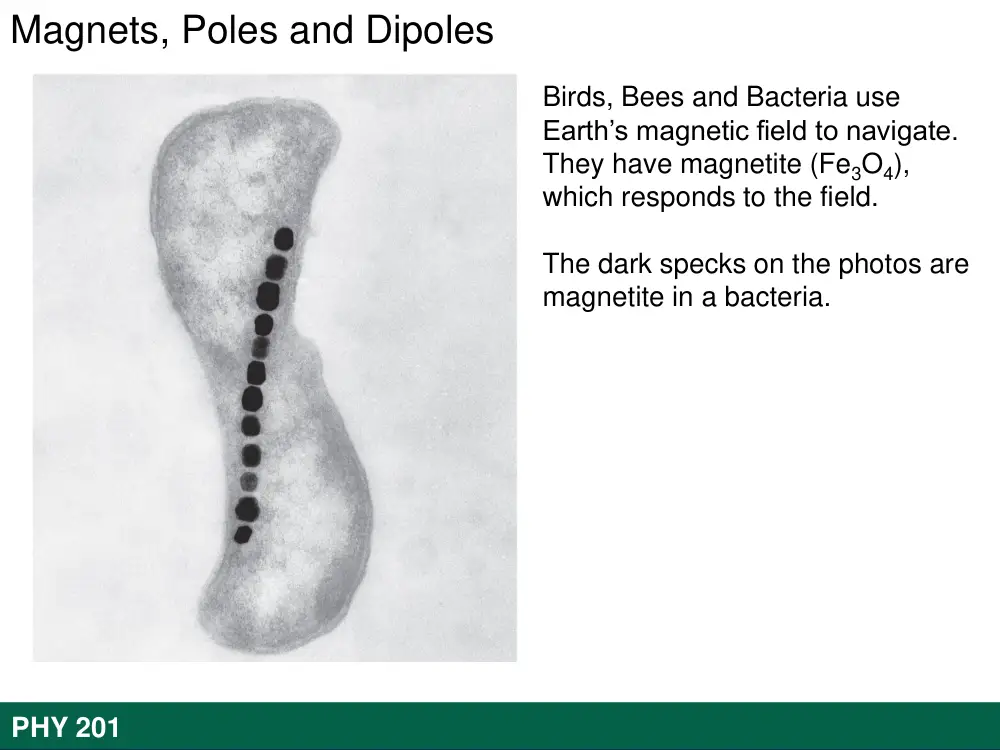 PHY 201 Lecture Chapter 8, Spring 2016, page 8
